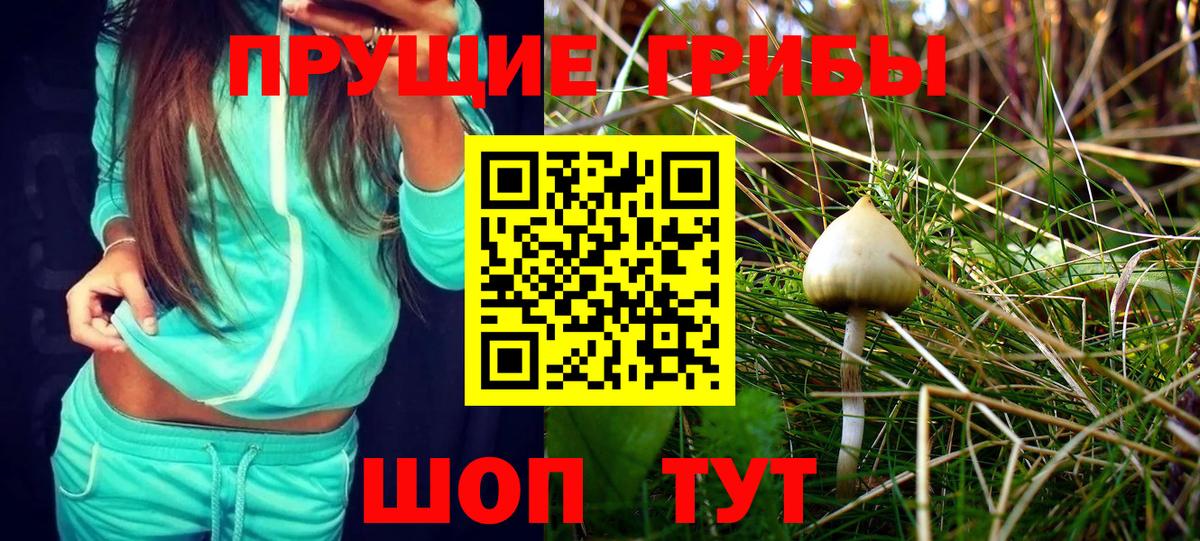 Псилоцибиновые грибы мухоморы Дзержинский